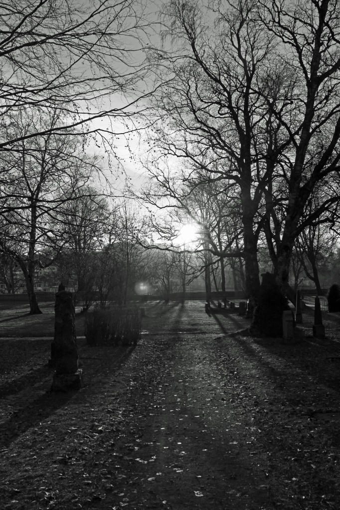 winter light into the cemetery